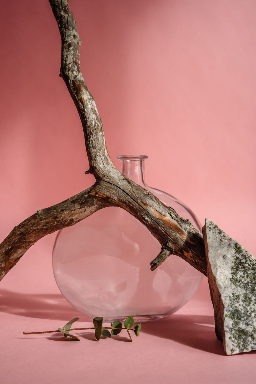 A glass vessel and a weathered branch on a pink backdrop
