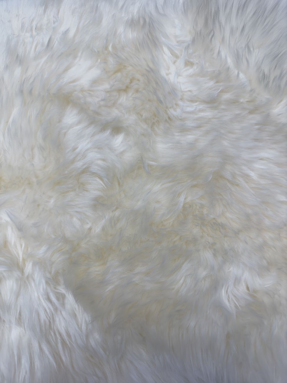 White fur, close up